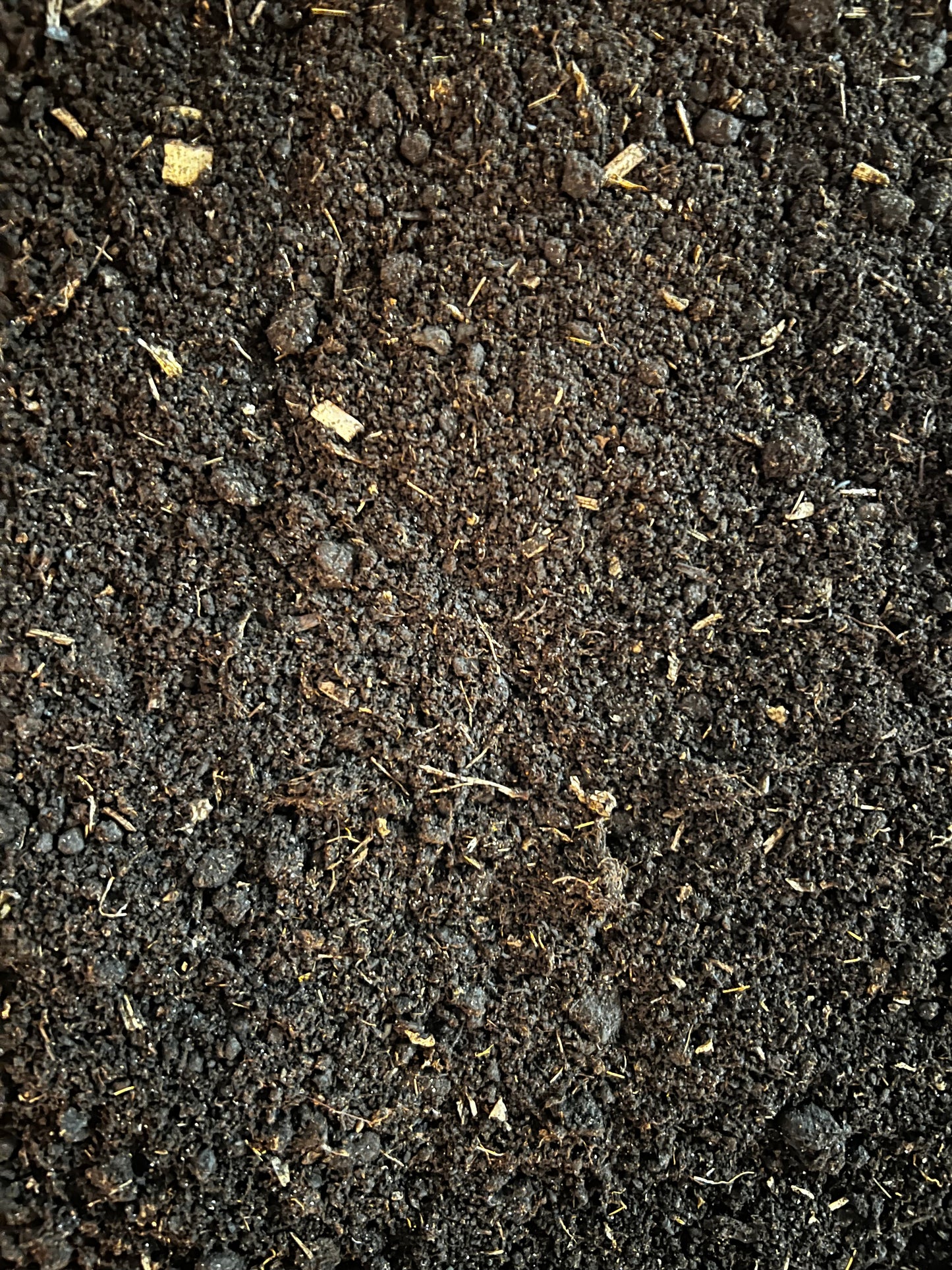 Worm Castings - LUplnts