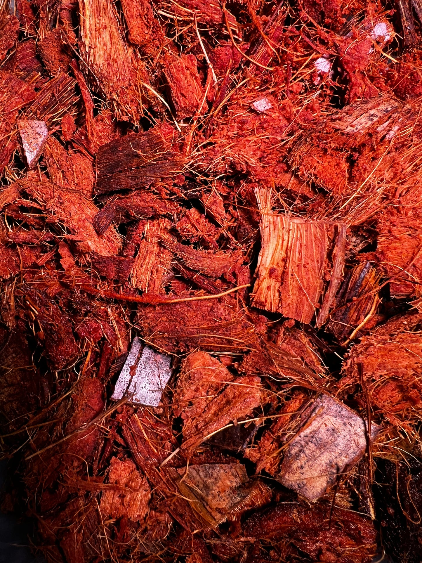 Coconut Husk - LUplnts