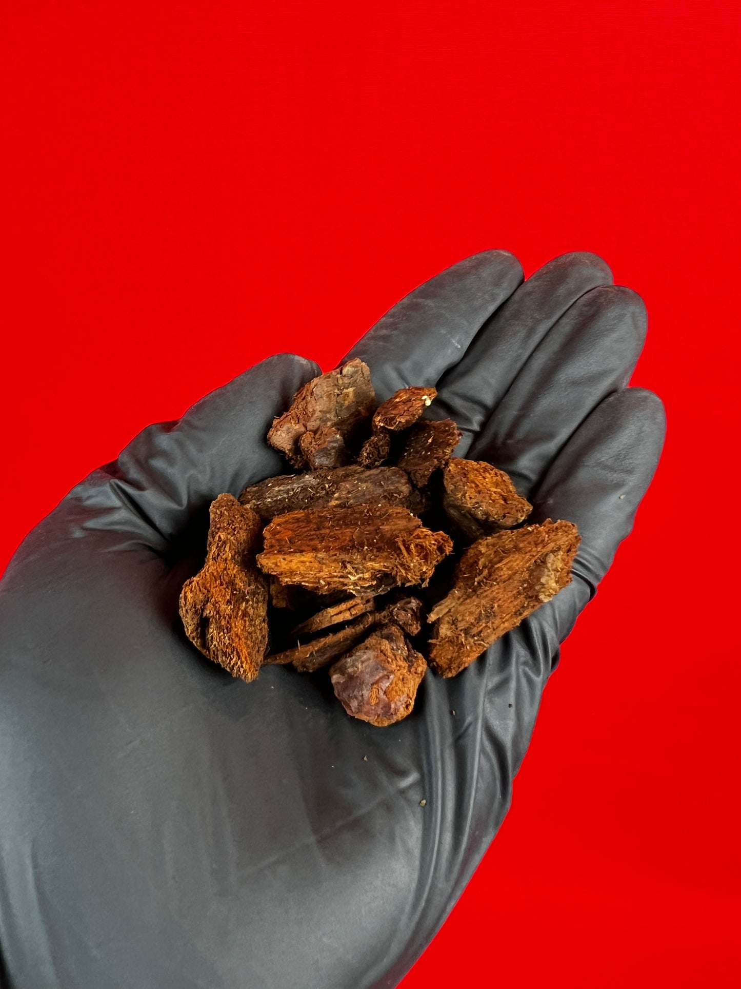 Pine Bark - LUplnts