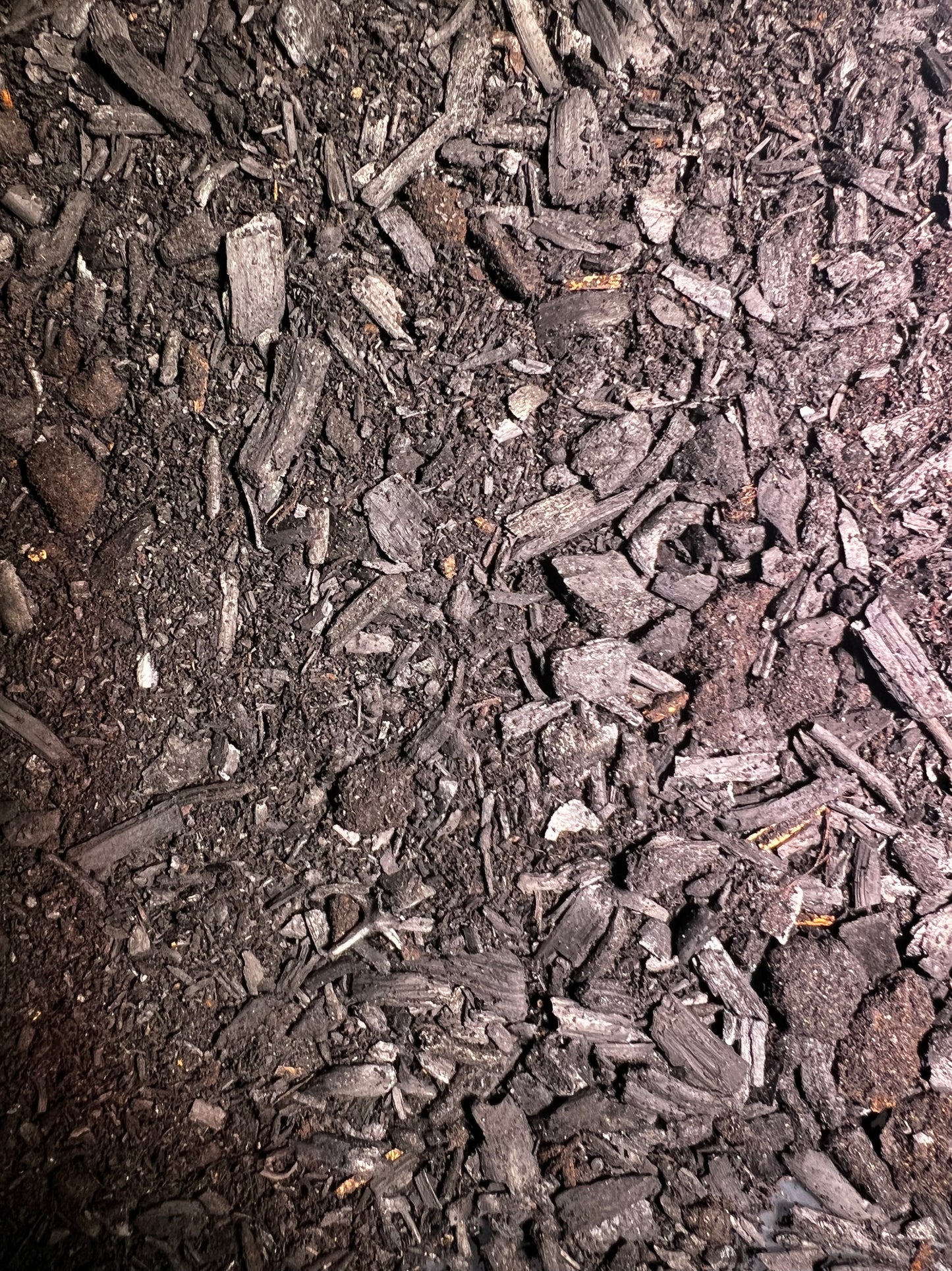 Activated Carbon - LUplnts