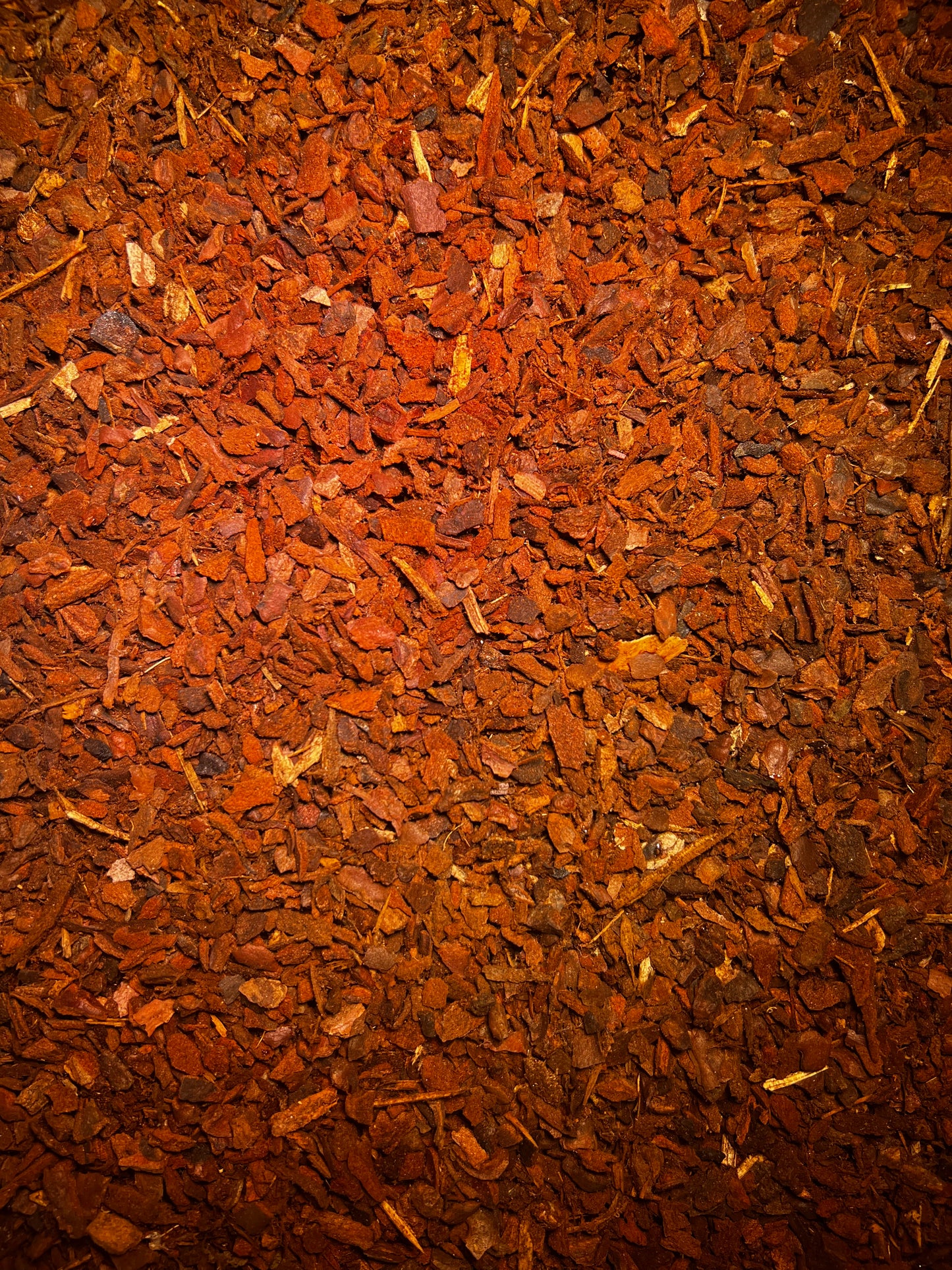 Pine Bark - LUplnts