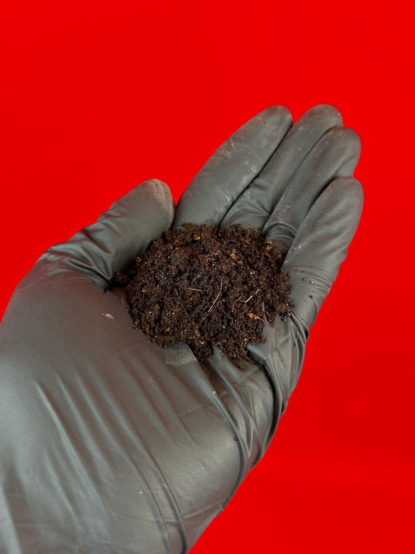 Worm Castings - LUplnts