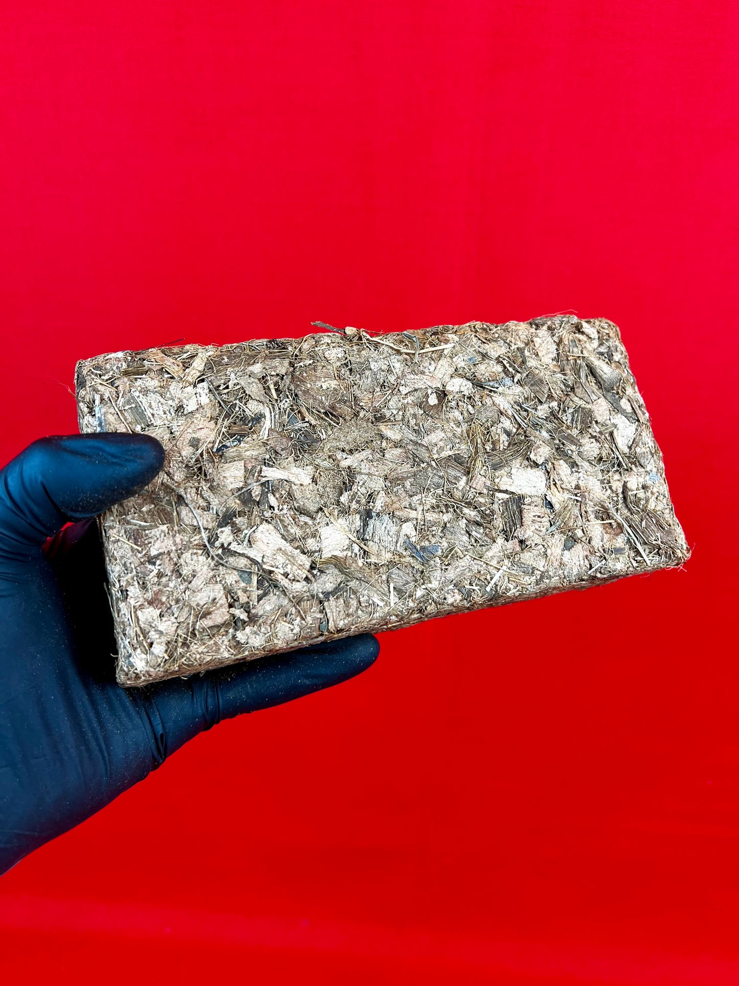 Coconut Husk - LUplnts