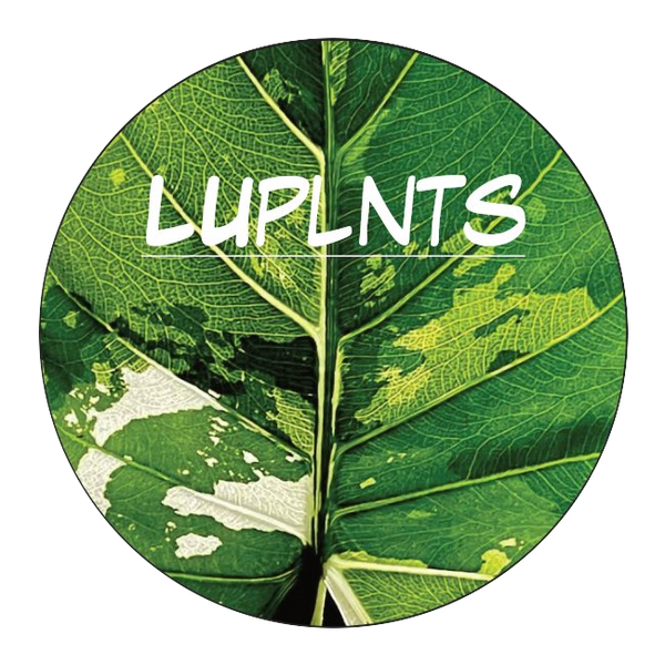 LUplnts