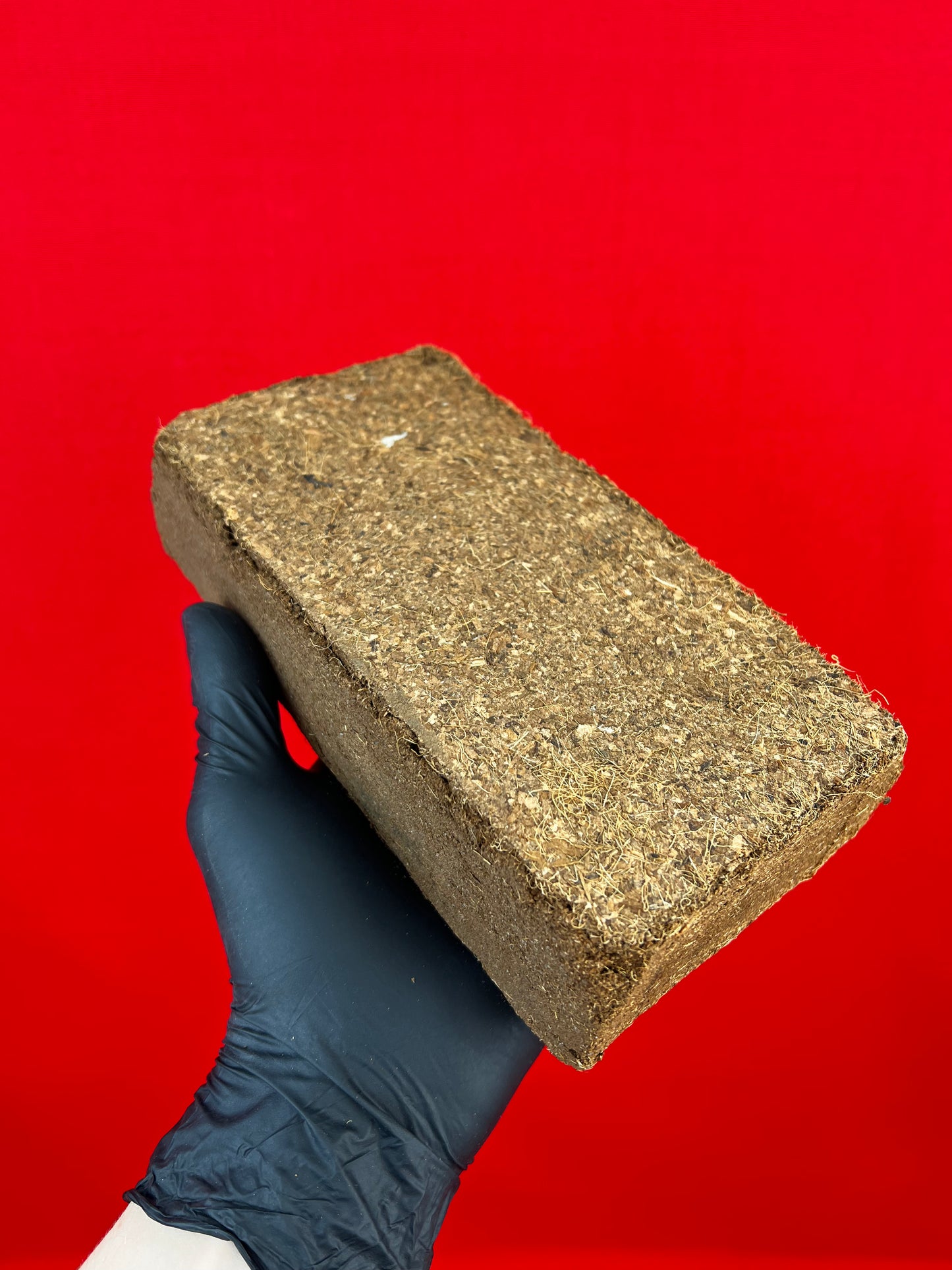 Coconut Coir - LUplnts